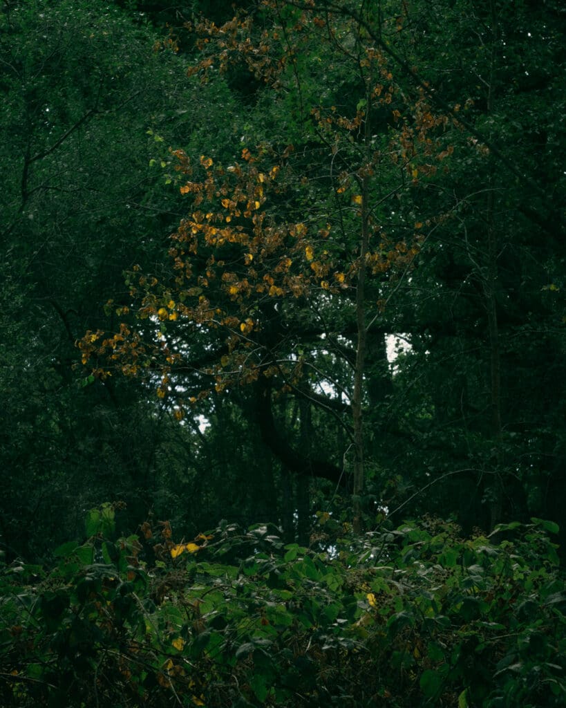 Retro lens example 2